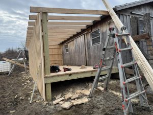 Bard Addition in Progress