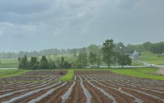 Crop Fields
