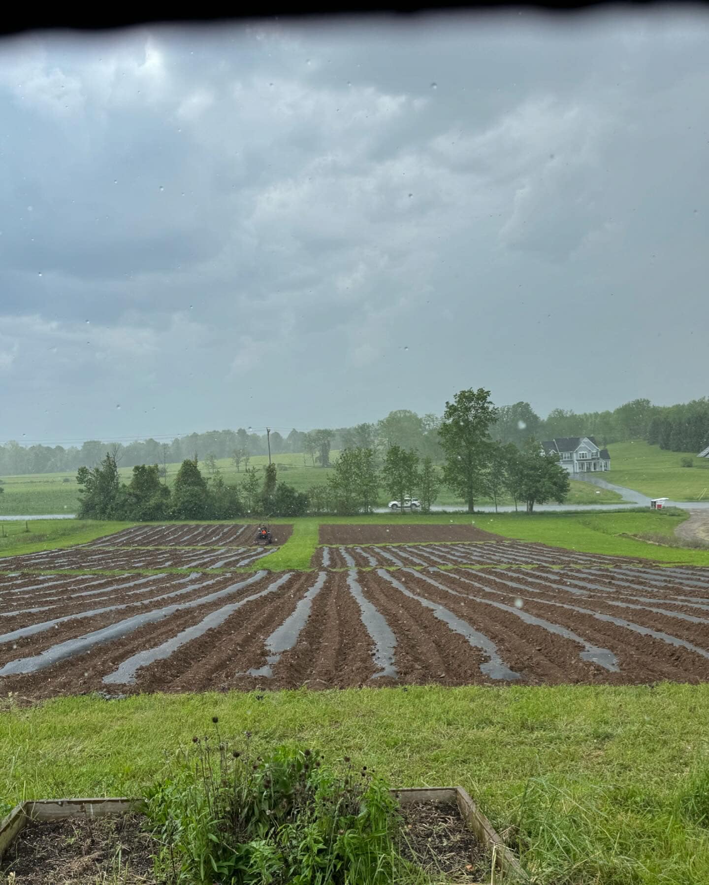Crop Fields