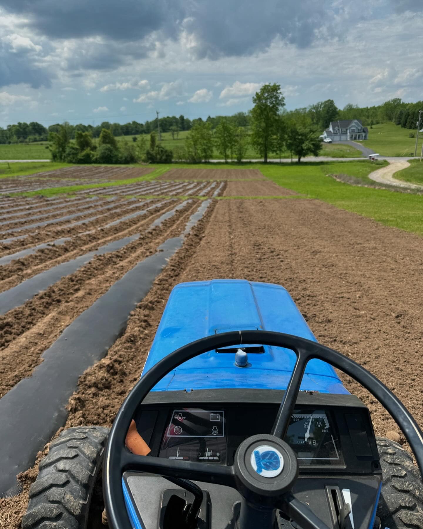 Tractor in Farming Field